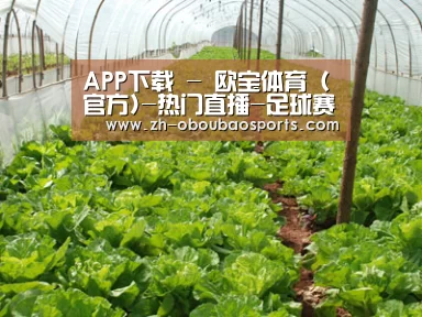 种植基地五