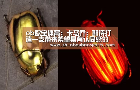 ob欧宝体育