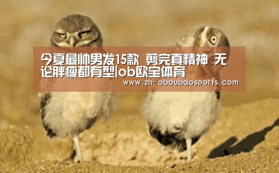 ob欧宝体育